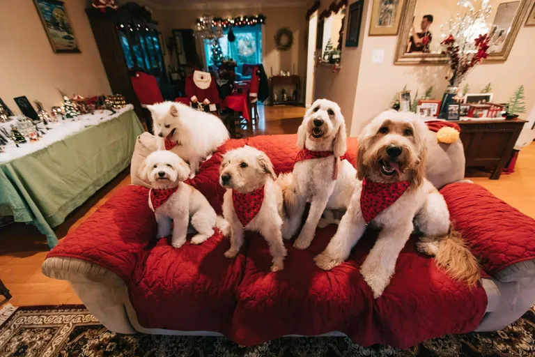 Family gathered around the tree during the holidays