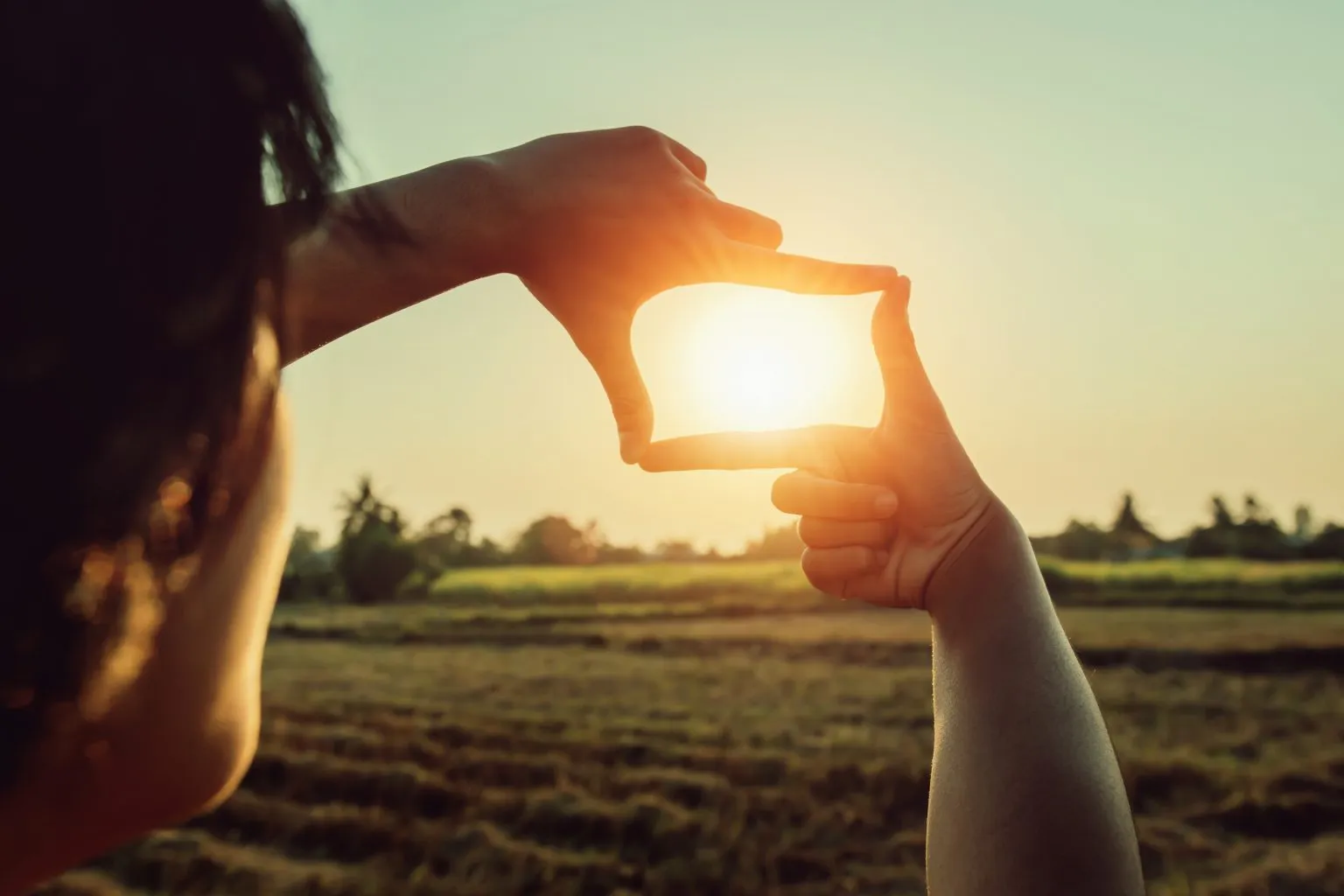 Preserved nature, a symbol of leaner photo storage
