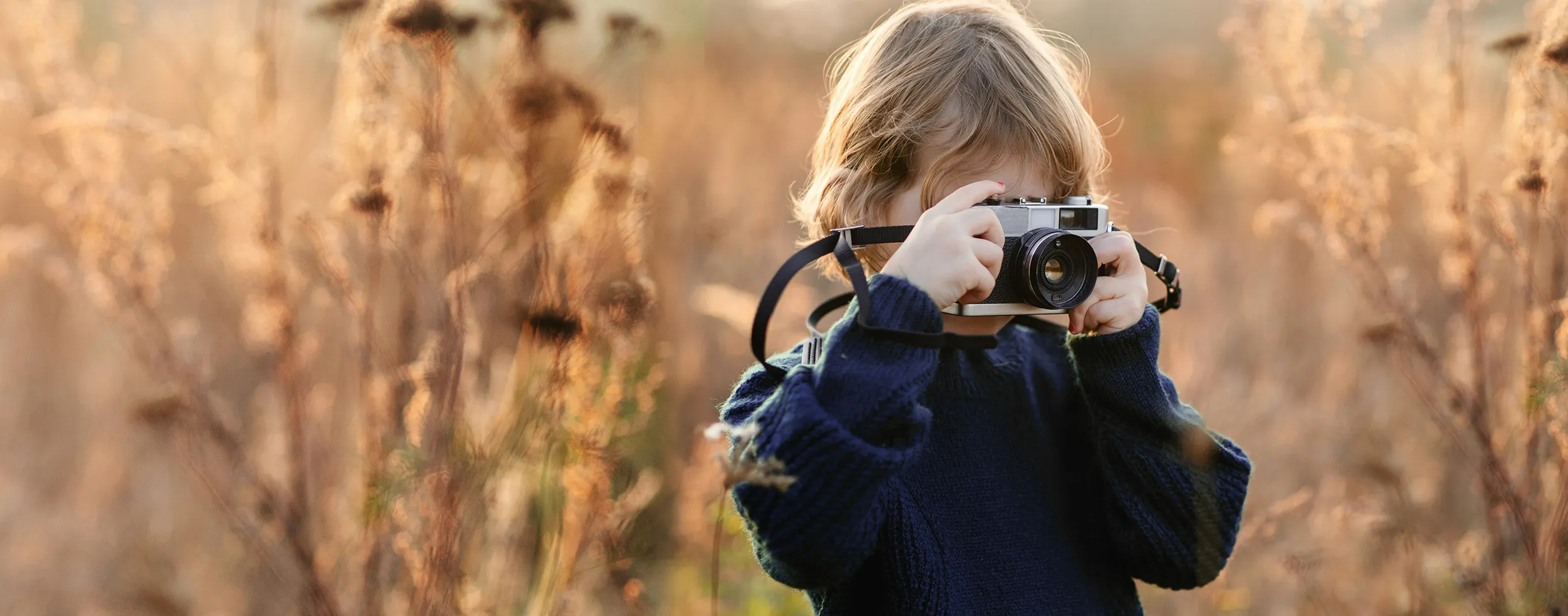 Online image hosting and sharing